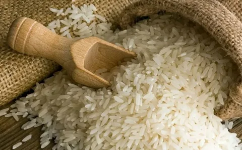 خرید برنج هاشمی درجه 1 + قیمت عالی باکیفیت